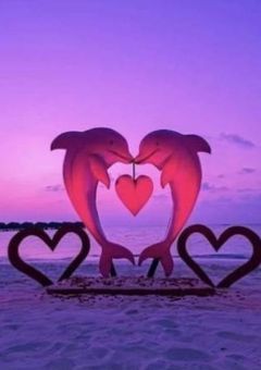 スノ温泉旅行♨️