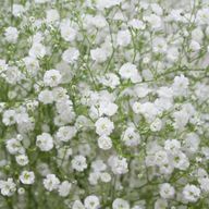 にゃさんのアイコン画像