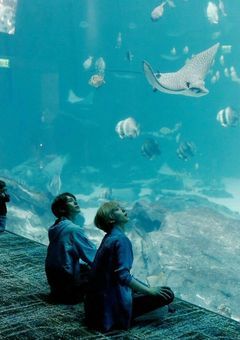 きまぐれ短編集