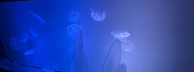 ななさん。さんの壁紙画像