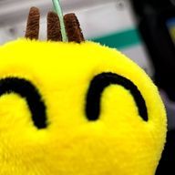 Airiさんのアイコン画像