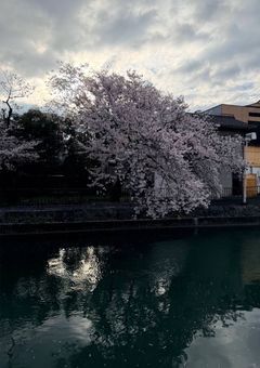 私が暴れる部屋 🤩