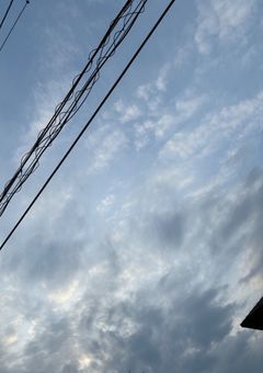 フォロバする対象の人