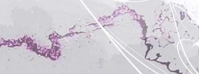 おもち〜ずさんの壁紙画像