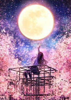 夢幻の徒桜
