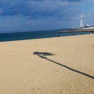 翠さんのアイコン画像