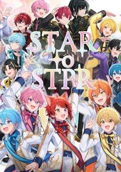 stpr高校