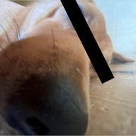 mikichanman (フォロバしまする)さんのアイコン画像