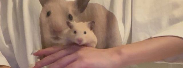 纐纈。さんの壁紙画像