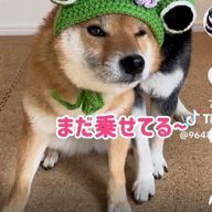 ドS太郎さんのアイコン画像