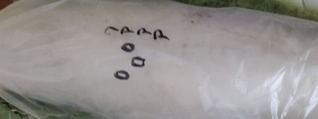 ぴよ　『感情没落人間ちゃん』さんの壁紙画像