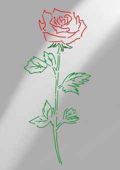 𝔹𝕃𓂃꙳⋆🌹