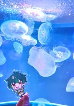 まにゅかの雑談部屋！