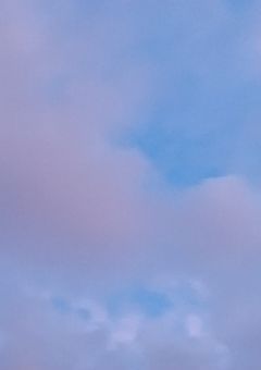 い ら す と 。
