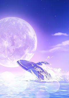 配信部屋𓂃𓈒𓂂𓏲☆.･