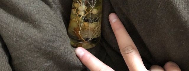 りあん(無期限活動休止中)さんの壁紙画像