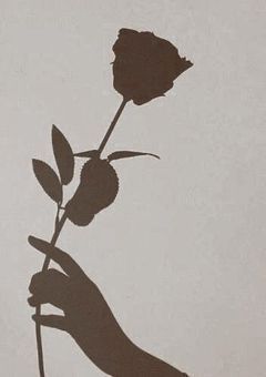 𝑆𝑒𝑐𝑟𝑒𝑡 𝑆𝑡𝑜𝑟𝑦