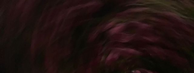 공주님🏹さんの壁紙画像