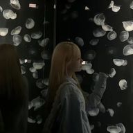 ゆーさんのアイコン画像