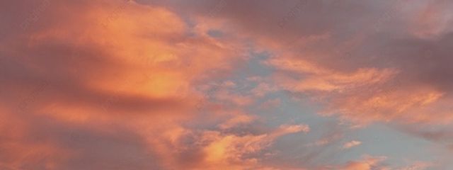 ユキさんの壁紙画像