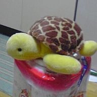 みどりがめ//🐢✨さんのアイコン画像