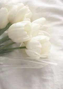 配信中に本名バレた件．📣💙ver.