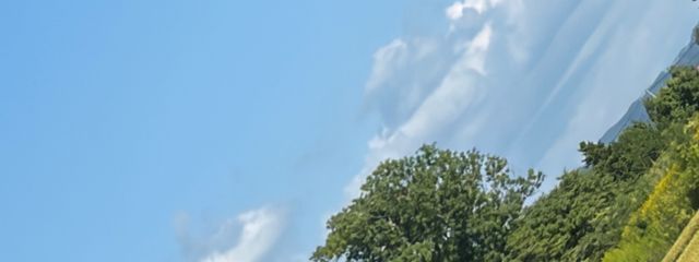 ふわふわしてるぬの　ペア画中　　風邪治りかけさんの壁紙画像