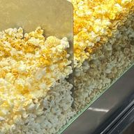ポップな🌽さんのアイコン画像