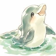 いるか🐬🩵さんのアイコン画像