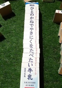 人間名(ちゃんとした)のぼしゅー