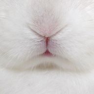 텡さんのアイコン画像