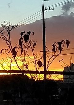 私の365日【完結】