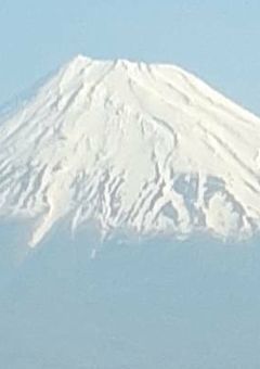 ⋆⸜ 𝐇𝐚𝐩𝐩𝐲𝐛𝐢𝐫𝐭𝐡𝐝𝐚𝐲 ⸝⋆