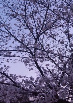 元カレはずっとかっこよかった