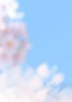 njsj/ﾀﾋんだら、推しのマネージャーだった件