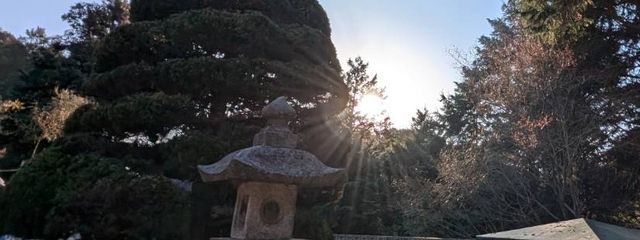 ルナさんの壁紙画像