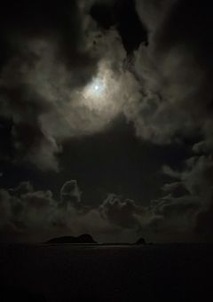 月影のコントラクト