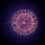 はなプさんのアイコン画像
