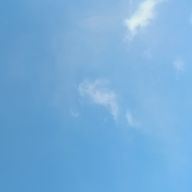 ミン   さんのアイコン画像