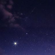 メテさんのアイコン画像