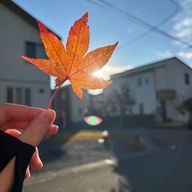 俺らがいちばん！(海翔16/悠真5/琉生17/紗希斗18)さんのアイコン画像