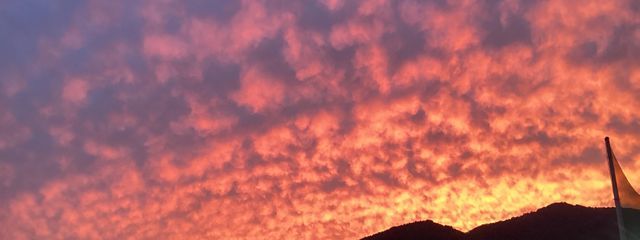 🎼aoto🍏🐏さんの壁紙画像