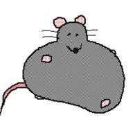 🍢さんのアイコン画像