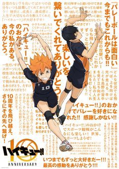 日向の兄、プロのバレー選手だった件  あと日向兄弟セットで愛されてる件