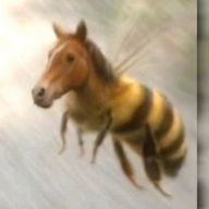 めざましどけい18世さんのアイコン画像