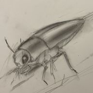 玉枝@転生するさんのアイコン画像