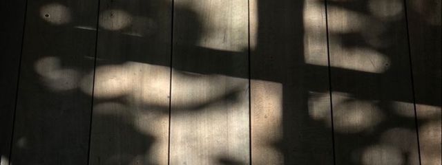 恵.さんの壁紙画像