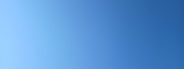 Reiさんの壁紙画像