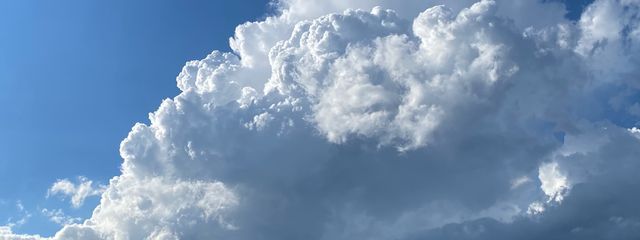 凛さんの壁紙画像