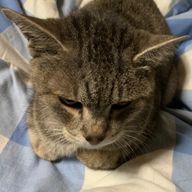 ゆたさんのアイコン画像